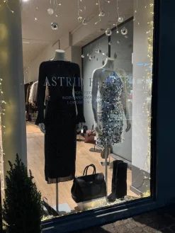 Astrid Frank Bluser|Angela glitter bluse