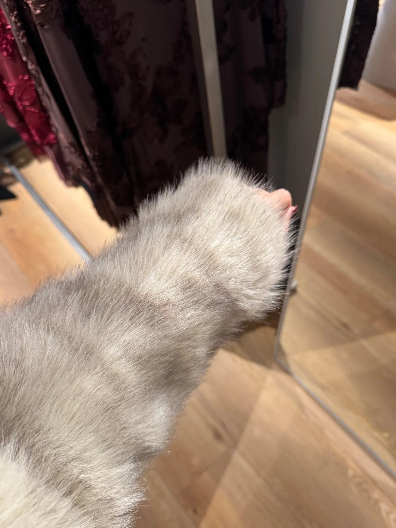 Astrid Frank Jakker|Flavia faux fur