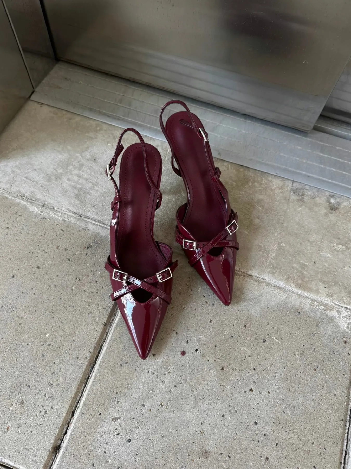 Astrid Frank Stiletter|Flora stiletter