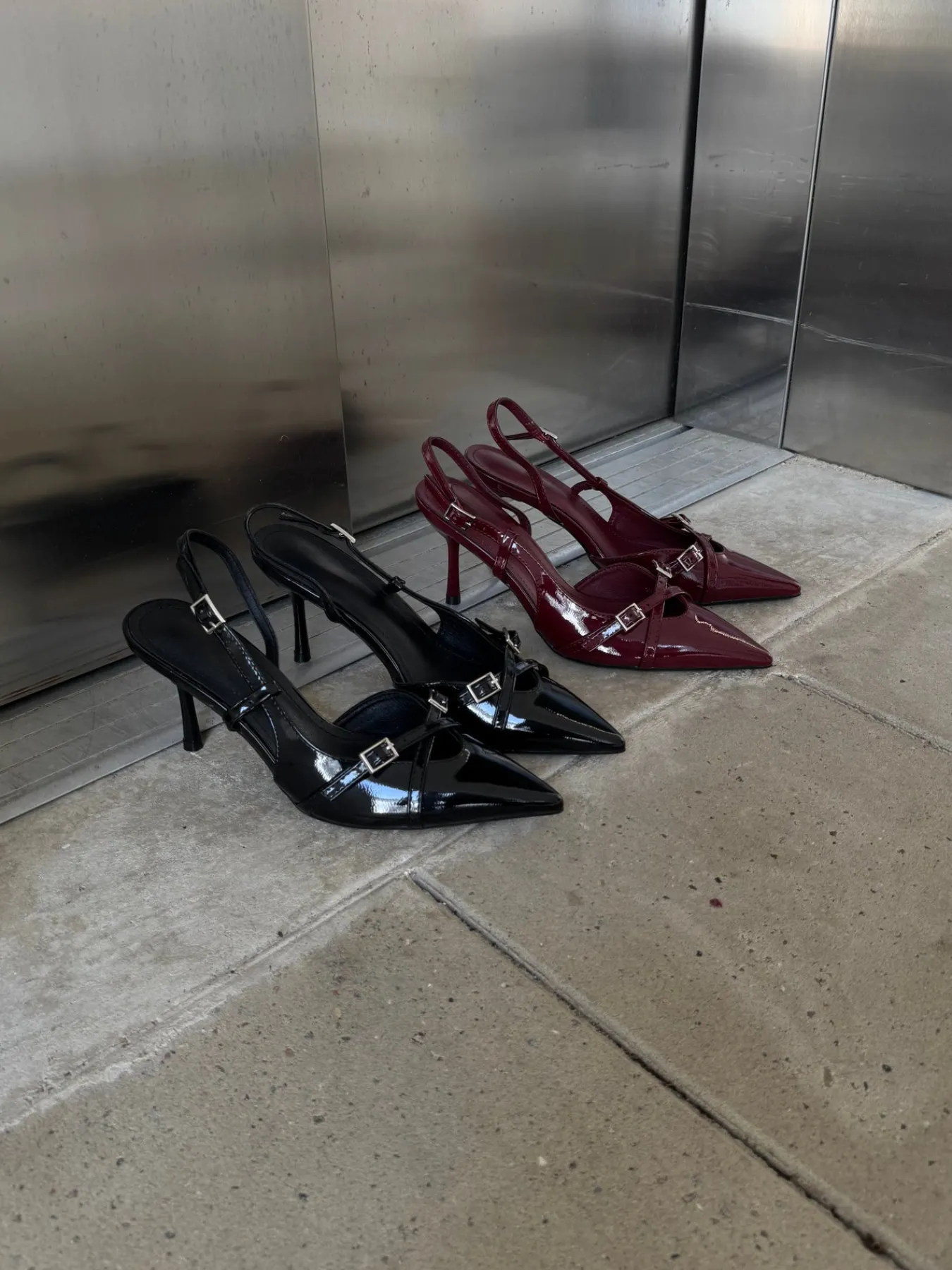 Astrid Frank Stiletter|Flora stiletter