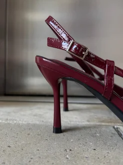 Astrid Frank Stiletter|Flora stiletter