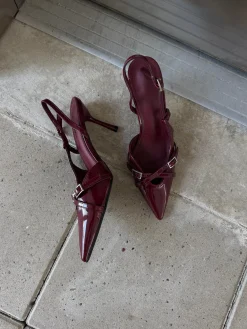 Astrid Frank Stiletter|Flora stiletter