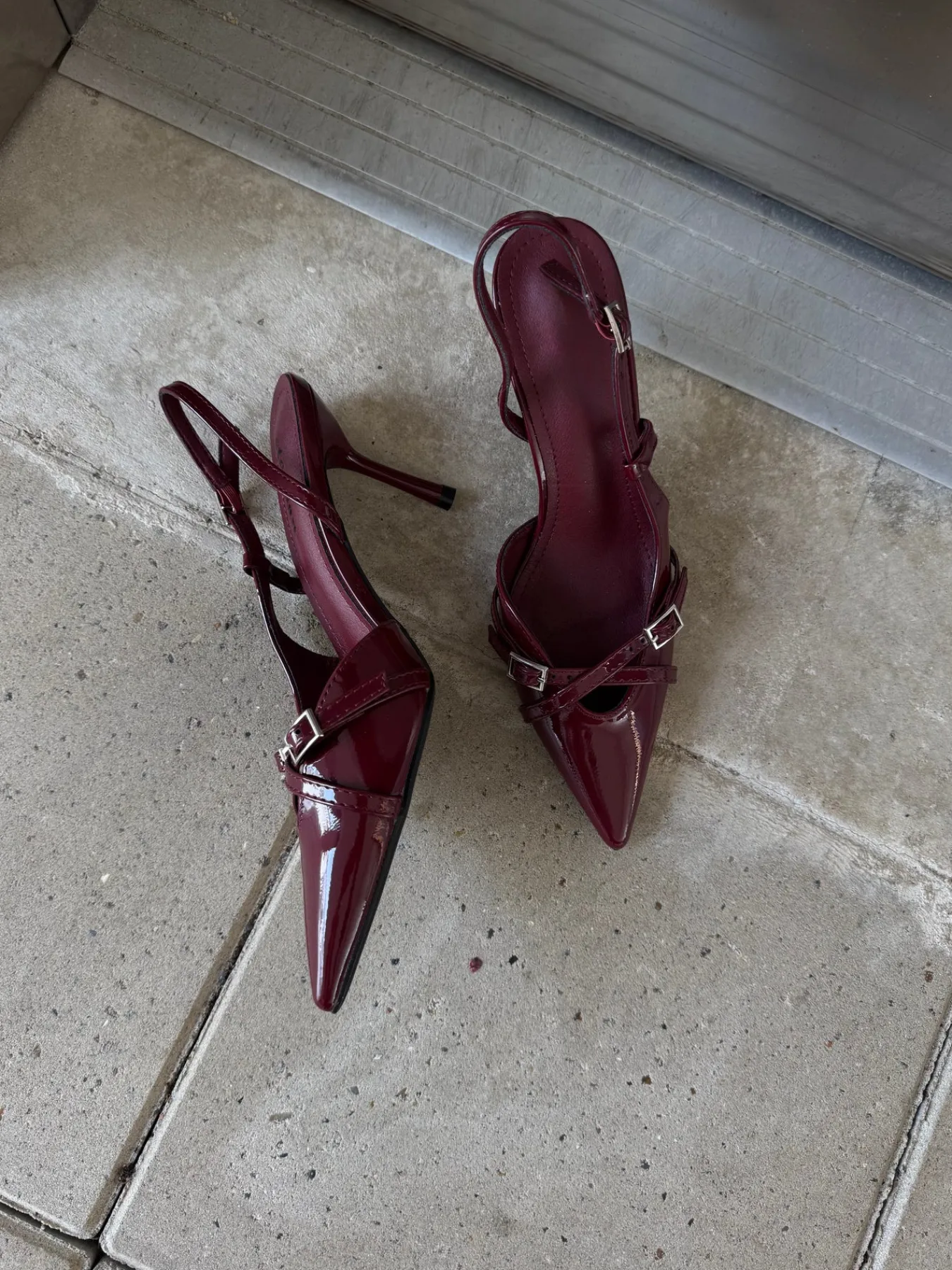 Astrid Frank Stiletter|Flora stiletter