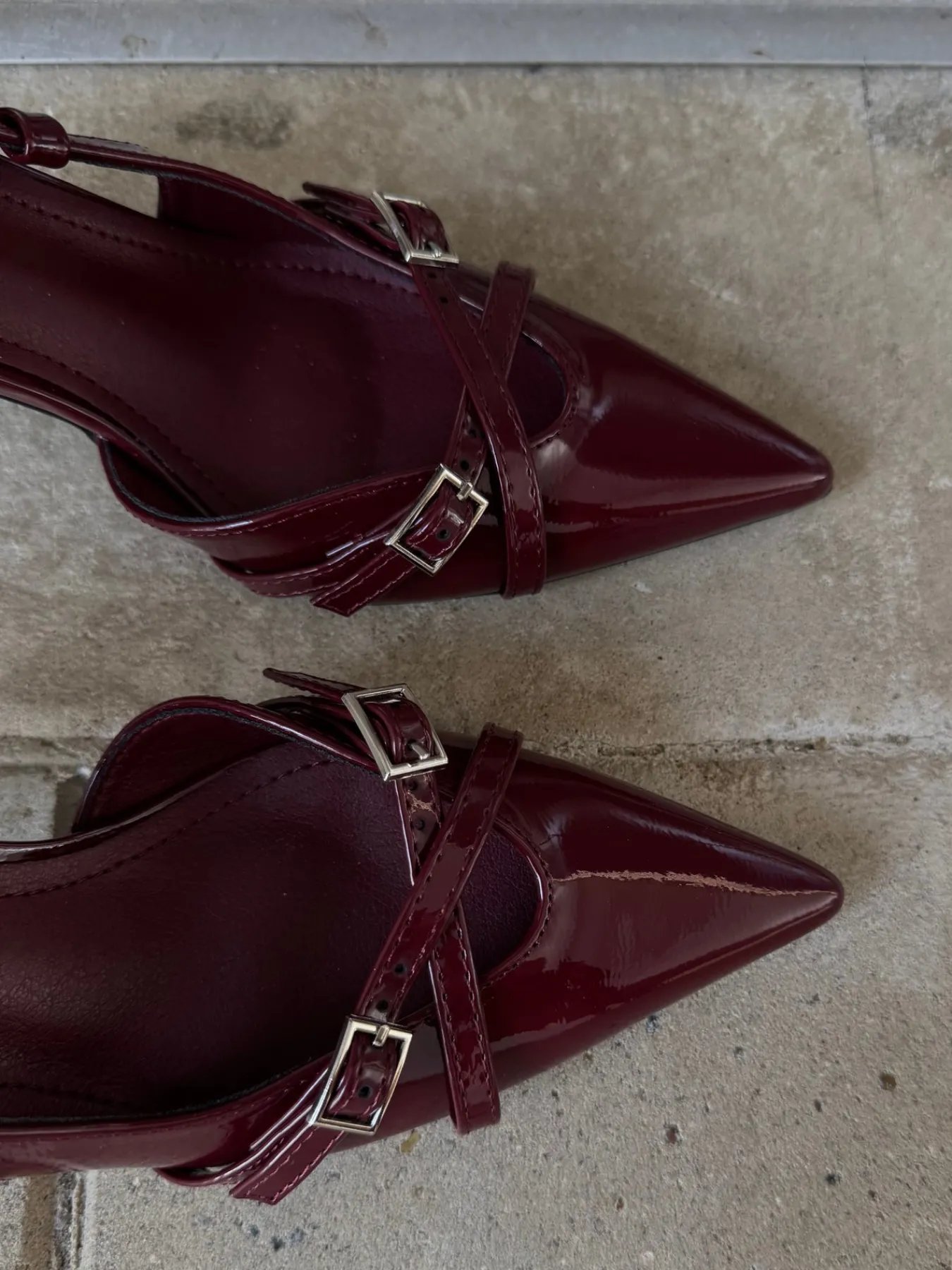 Astrid Frank Stiletter|Flora stiletter