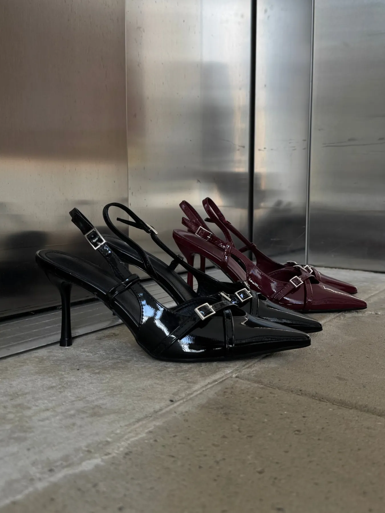 Astrid Frank Stiletter|Flora stiletter