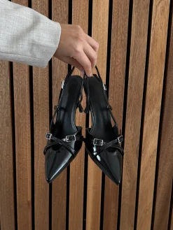 Astrid Frank Stiletter|Flora stiletter