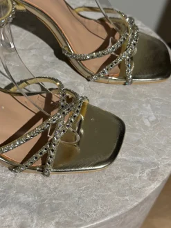 Astrid Frank Stiletter|Marielle stiletter